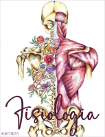 aquiros.milaulas.com